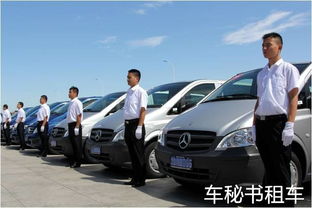 駕駛員的十大職責(zé)——海納車(chē)秘書(shū)汽車(chē)租賃為您解析
