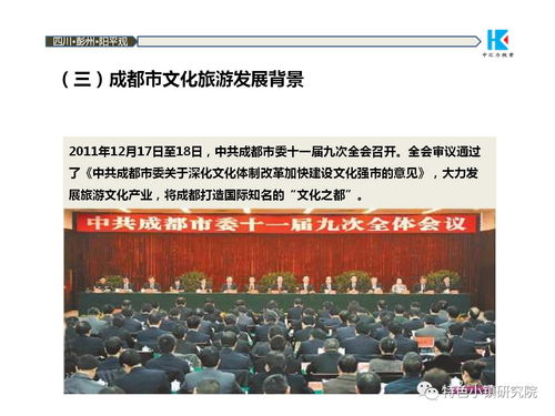 中國(guó)道源旅游度假小鎮(zhèn)項(xiàng)目策劃方案